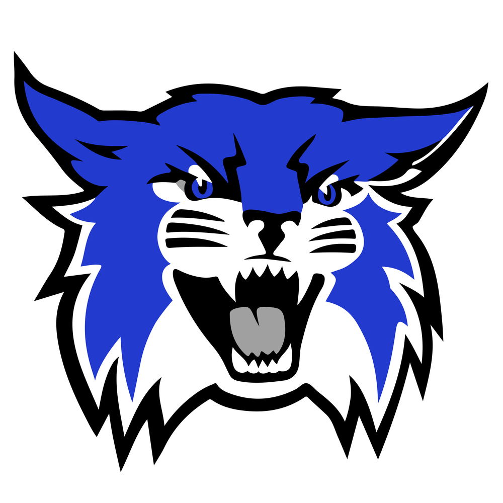 Wildcat