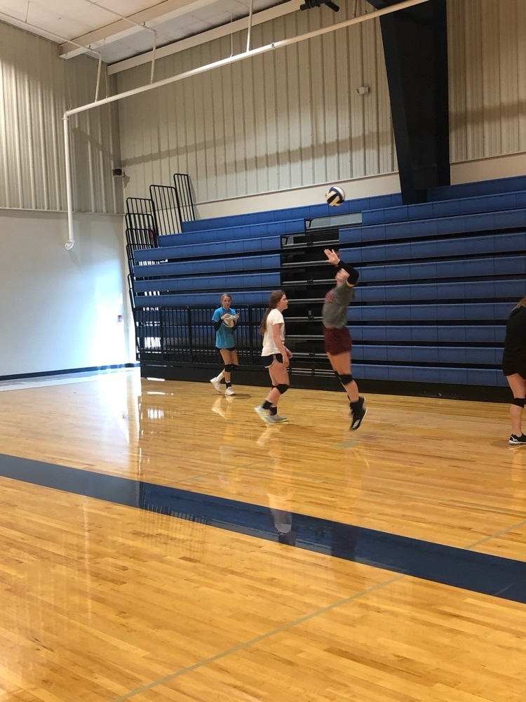vb