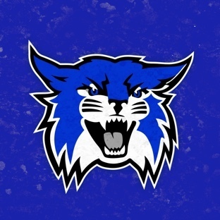 Wildcat