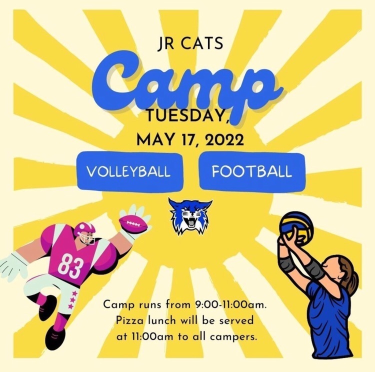 jr cats camp advertisement
