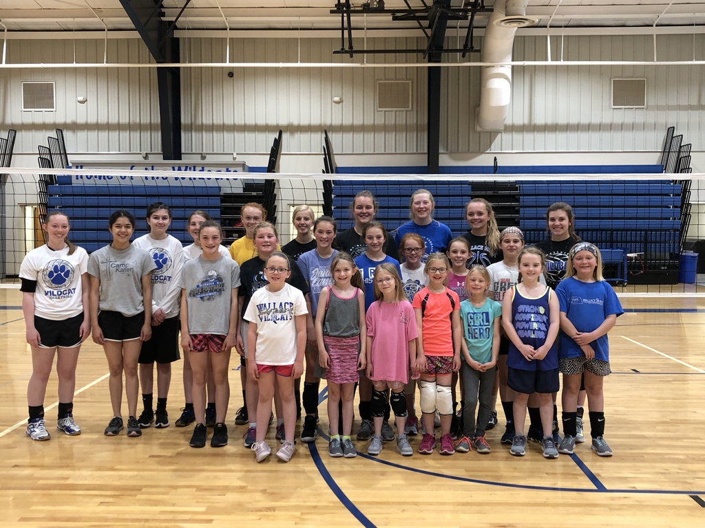 Wallace volleyball camp