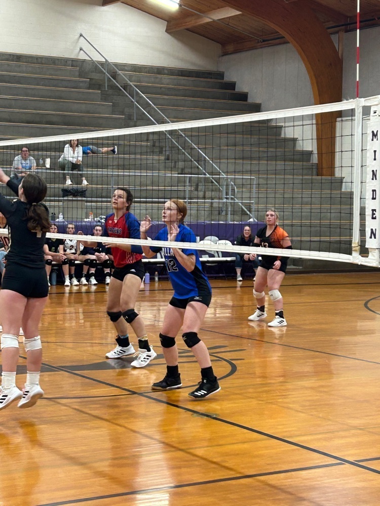 Live Feed Wallace Public School